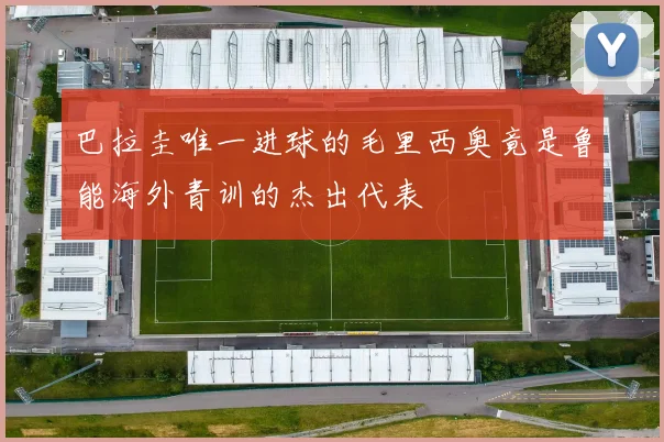 巴拉圭唯一进球的毛里西奥竟是鲁能海外青训的杰出代表